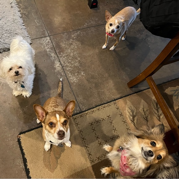 Meet your Posher, Dona 🇺🇸 - Picture 10 of 10